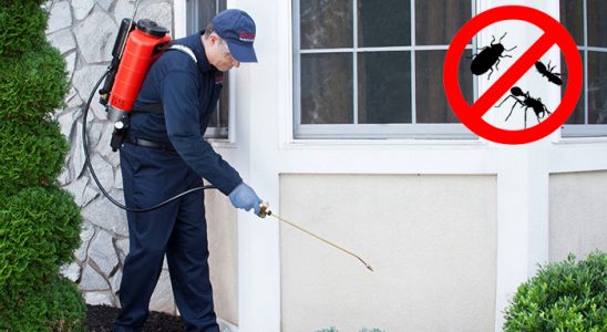Çayıralan Kemirgen İlaçlama böcek ilaçlama ve haşere kontrolü — ilaclama-tr.com